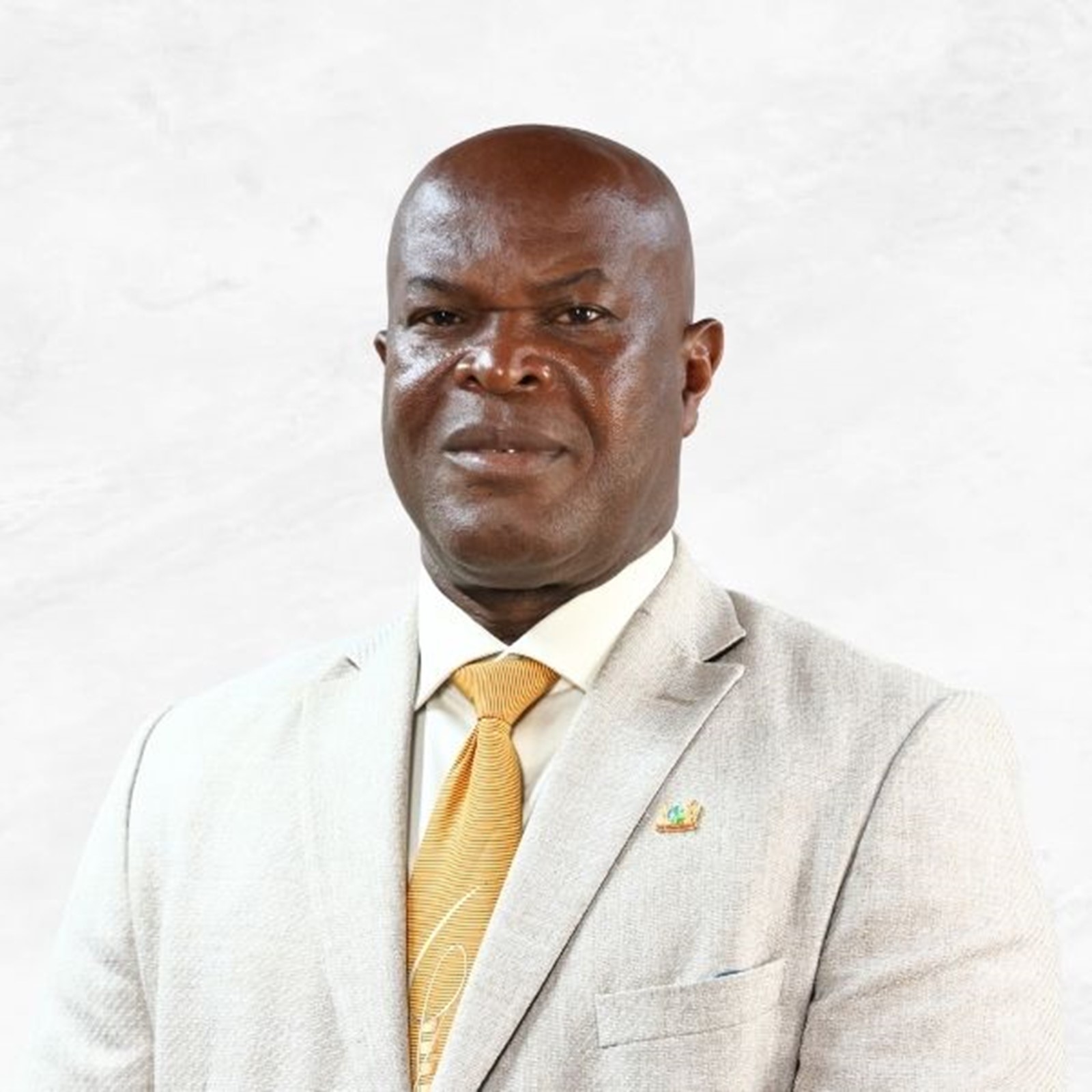 Ronnie Brunswijk MBA
